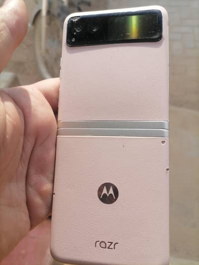 Moto razr 2023 fold