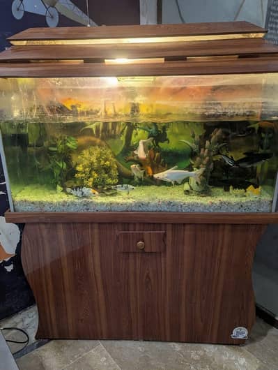 Aquarium for Sale – complete Setup with fish icluding (sucker)