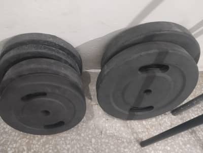 lifetime dumbbells and weights