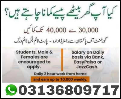 Online Earning At Home Online Assignments Work