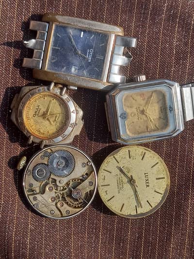 Vintage Watch Collection - 24 Rare Watches Rado Citizen Camy