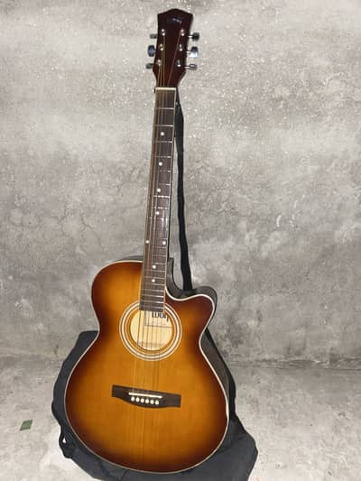 Wolf semi acoustic Branded guitar