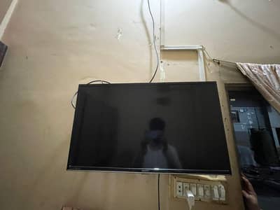 orient falcon 32 inch led