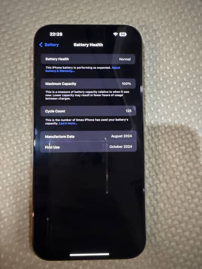 16 pro max 256 storage