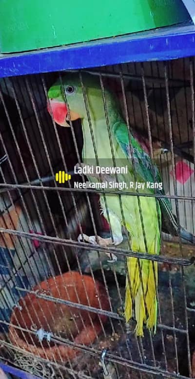 only serious byers contact