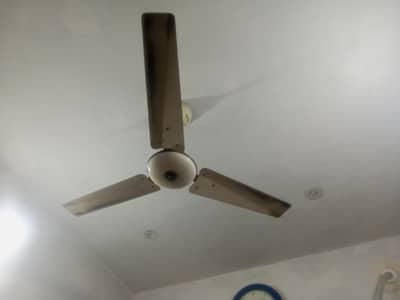 Pak Fan For Sale Home Use 03214833320