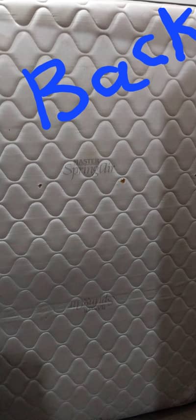 Master Molty Spring for Sale