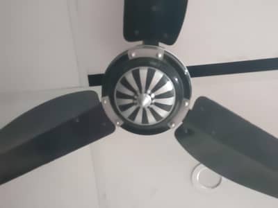 ceiling fan
