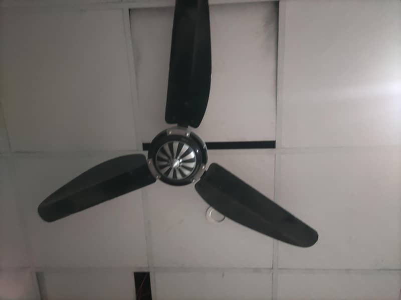ceiling fan 1