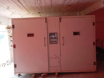 Incubator Hatchiry setup