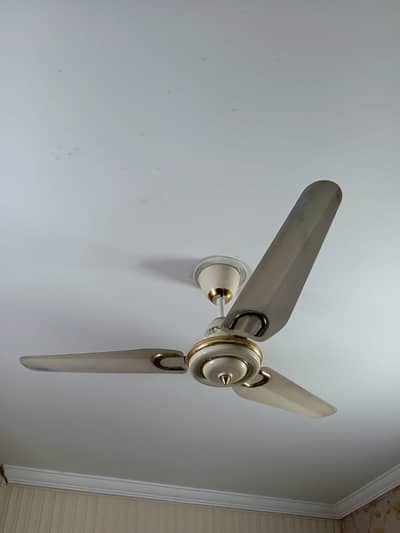 ceiling fans in working condition