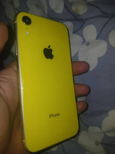 Iphone Xr PTA Aprroved