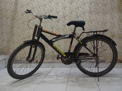 phoenix bicycle for sale