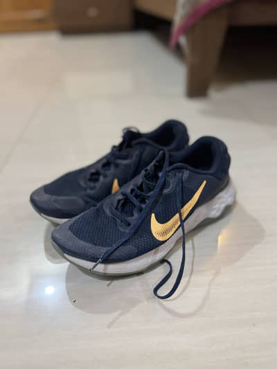 Nike renew