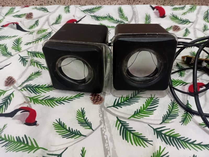 Speaker And Different Things 0