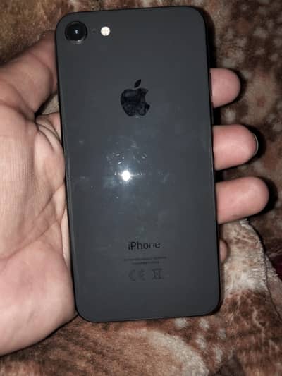 koi masla Ni koi ishu Ni jis bhi ny Lana hy wo rabta kary