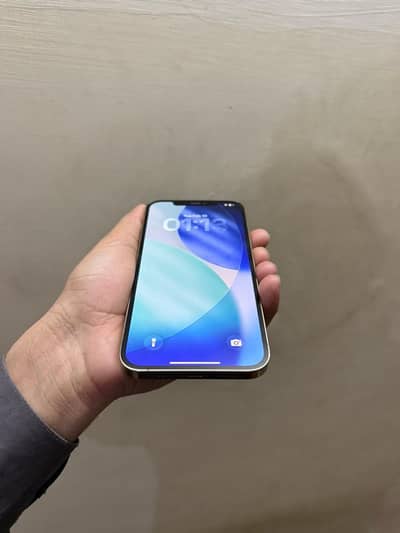 IPHONE 13 PRO MAX NON PTA JV 128gb (Urgent Sale)