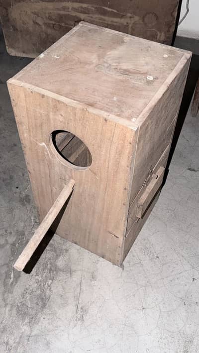 Raw parrot breader box 2feet height