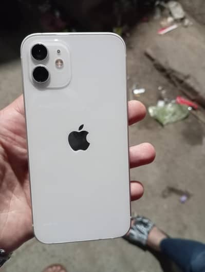 I phone 12