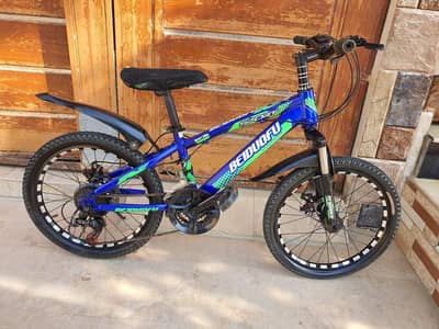 20 SIZE IMPORTED CYCLE