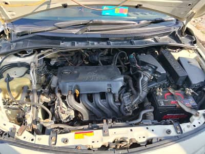 outr fresh look shower,indoor pack