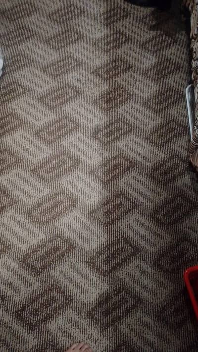 sale for carpet urgent , 0/3/0/9/4/3/9/1/5/9/5