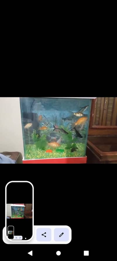 Total 8 fishes with equriem 2/1.5 ft