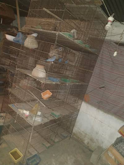 8 portion & 3 portion iron cage