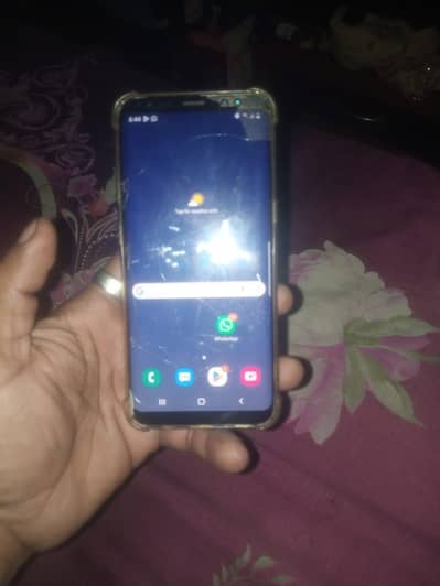 back barke gulss barke all work