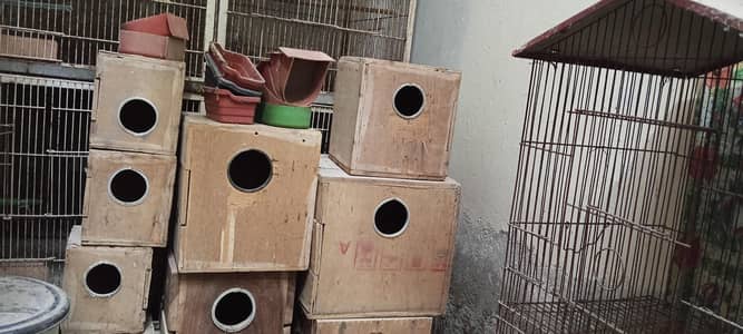 Parrot sb sell kr diye is waja se cage bhi sell kr rahen hn