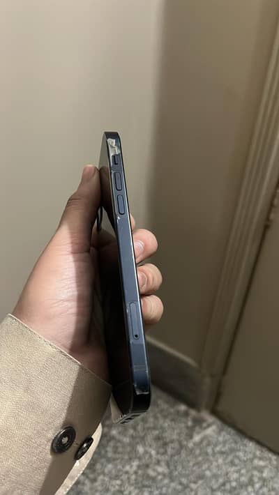 Iphone 12 pta approved