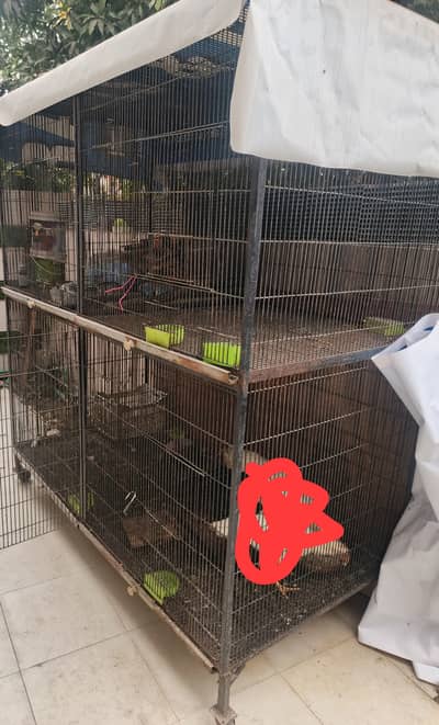 Heavy duty cage thick wire