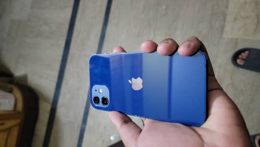 Iphone 12 only WhatsApp 03/27/11/99/381