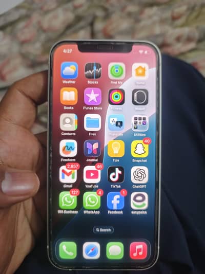 iphone 12 white colour