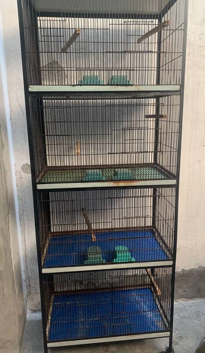 4 portion birds cage hai