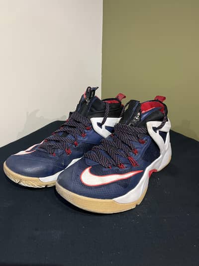 Nike LeBron Sneakers