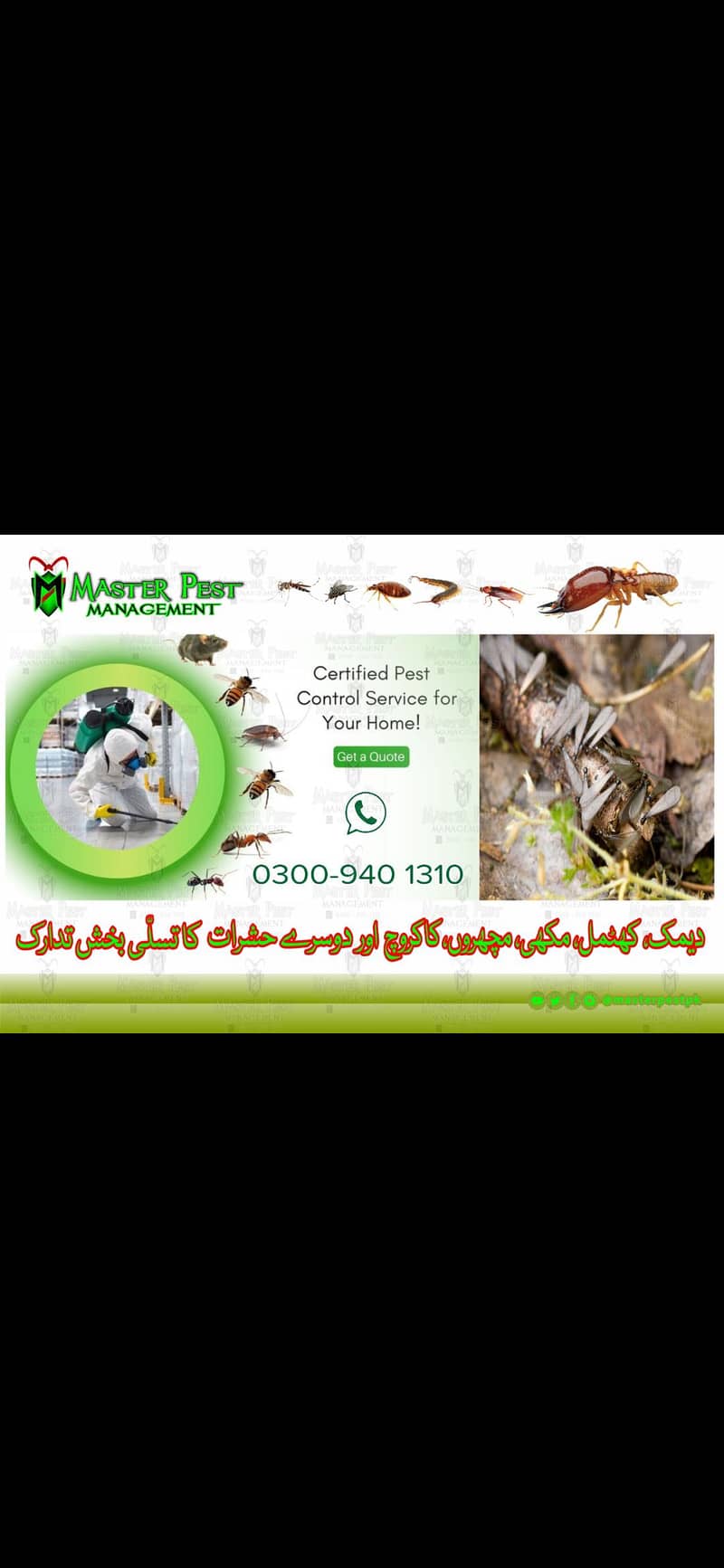 Deemak control/pest control/cockroach control/fumigation 2