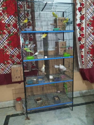 8 portion birds cage Urgent for sale