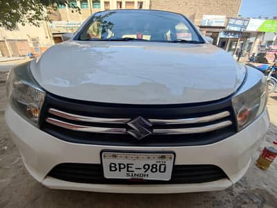 cultus 2018/19 lush car