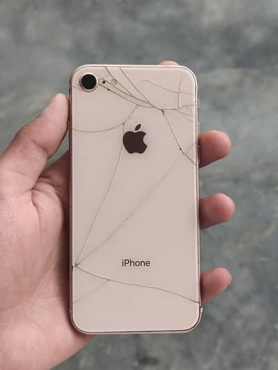 iPhone 8 (exchange possible)