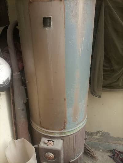 one year used gizzer