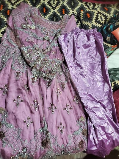 medium to large size