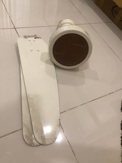 Royal Fan Slightly Used