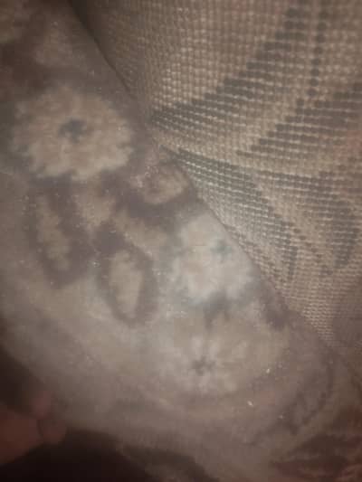 carpet  size 12 with 15 lambai