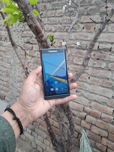 BLACKBERRY PRVE 03157731988