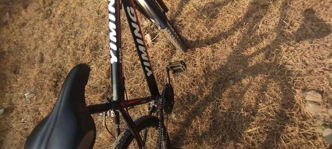 sporty look with front and rear gear