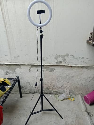 Tiktok stand for sale Full large size with ring light (0328-6498423)
