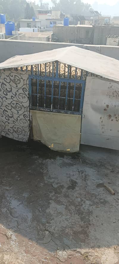 dog fancy house for sale 2 German shepherds adult size can easily live