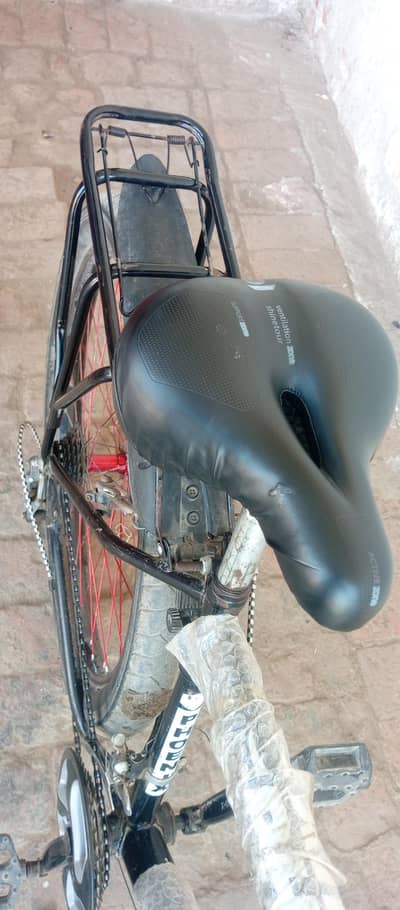 Phoenix Bicycle For Sell