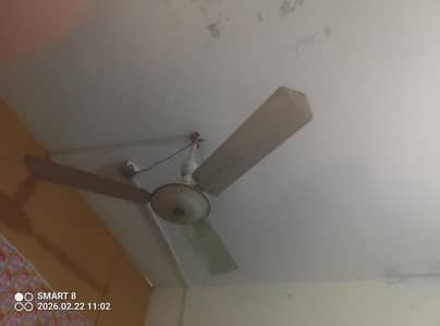 Celling Fans